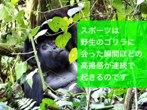 ほらね、こんなに面白い！