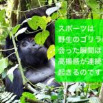 ほらね、こんなに面白い!