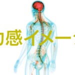 筋力を鍛えるよりも「力感イメージ」を鍛える