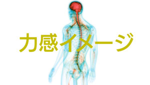 筋力を鍛えるよりも「力感イメージ」を鍛える